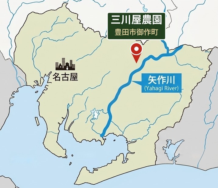 矢作川と三川屋農園の位置（豊田市御作町）