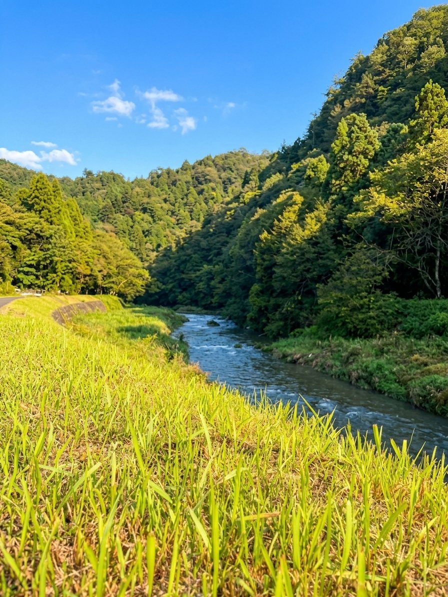 農園のある御作町の山あい
